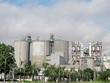 DN ngành xi măng và bài toán vị trí